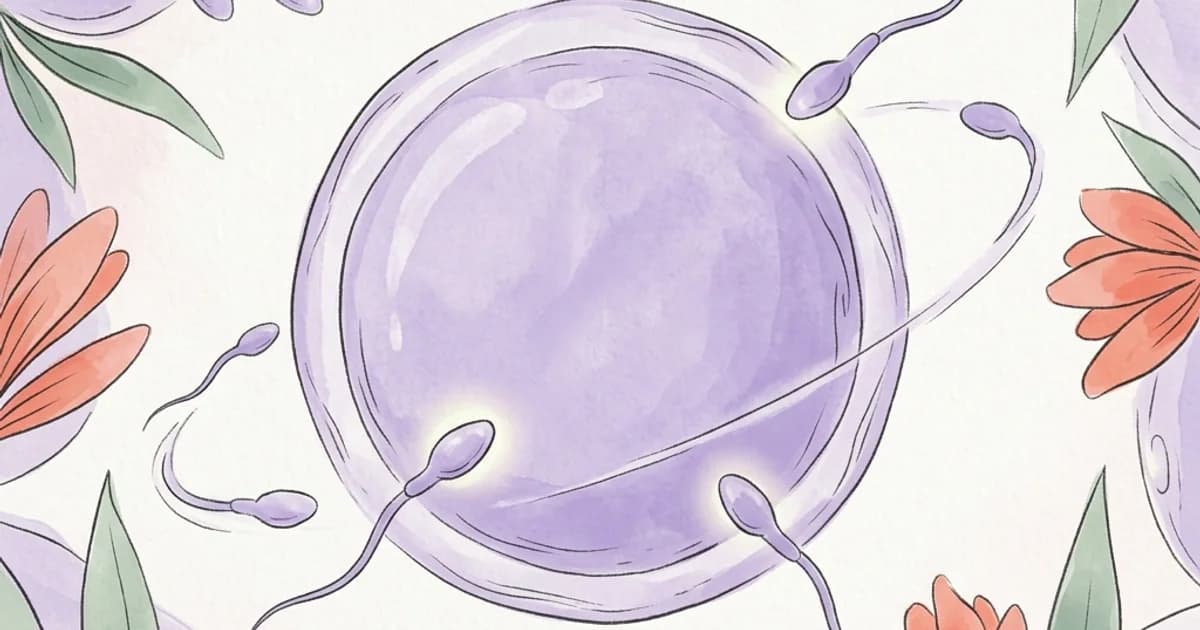 biologia-ovulo-fertilidade