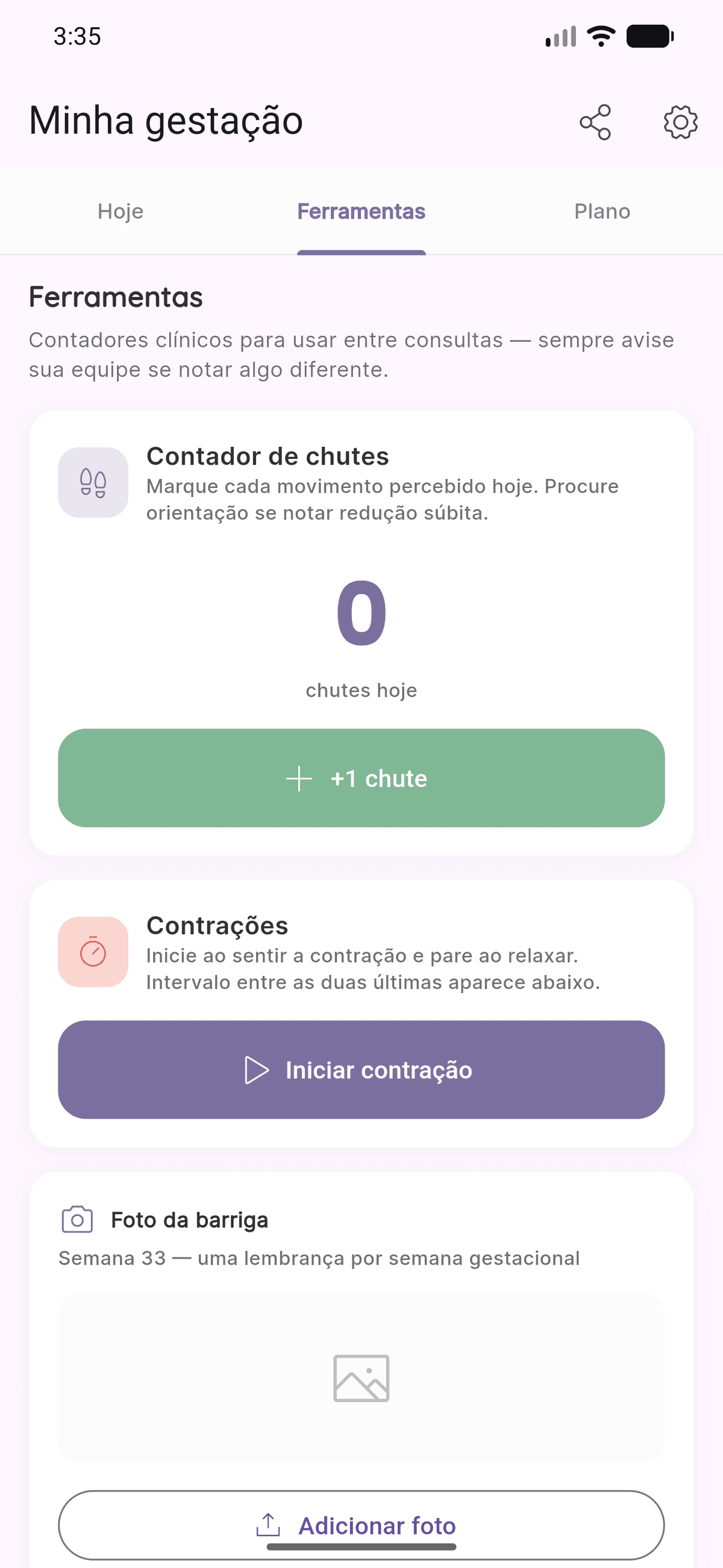Aba Ferramentas de Minha gestação no Levvi