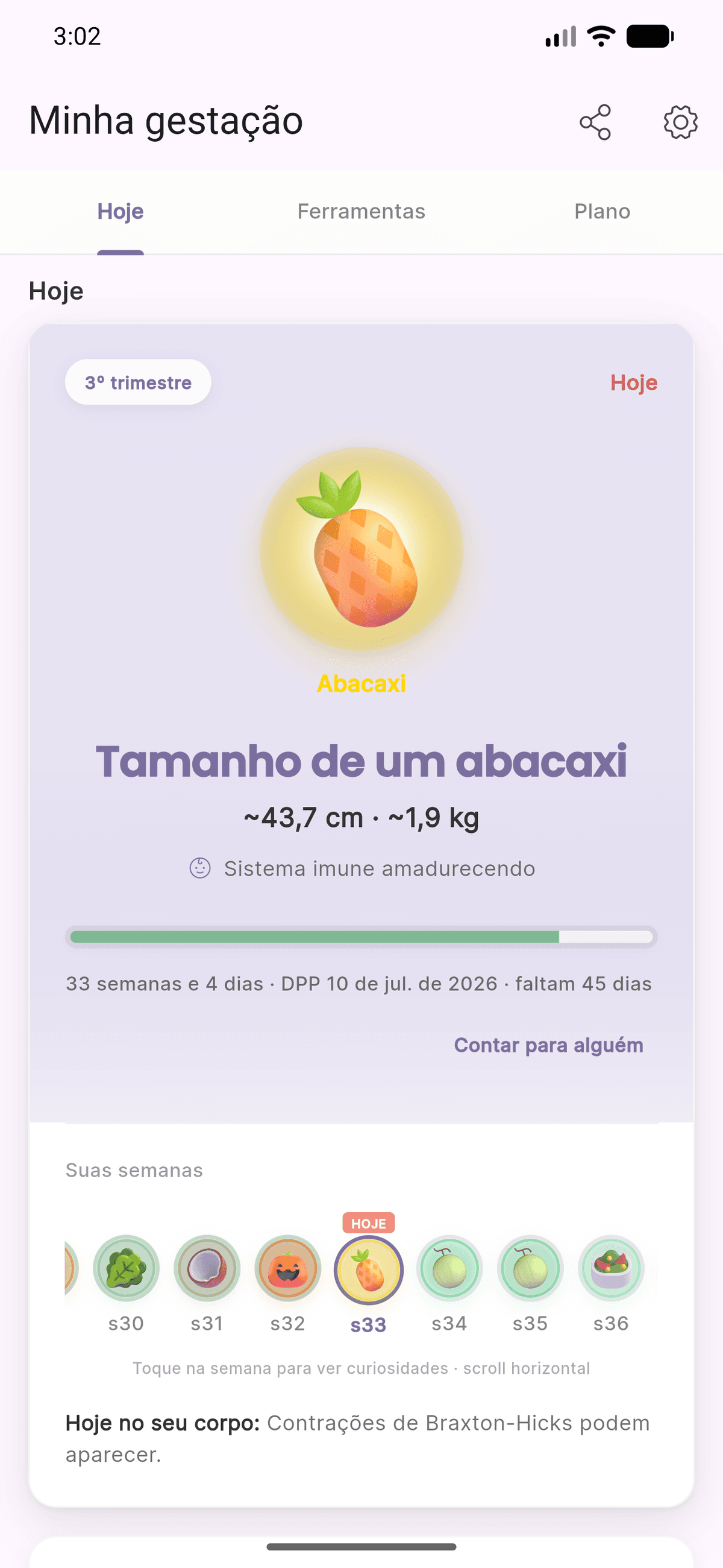 Tela Hoje de Minha gestação no Levvi