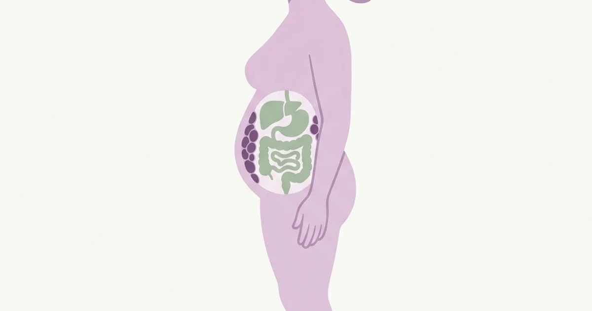 gordura-visceral-feminina